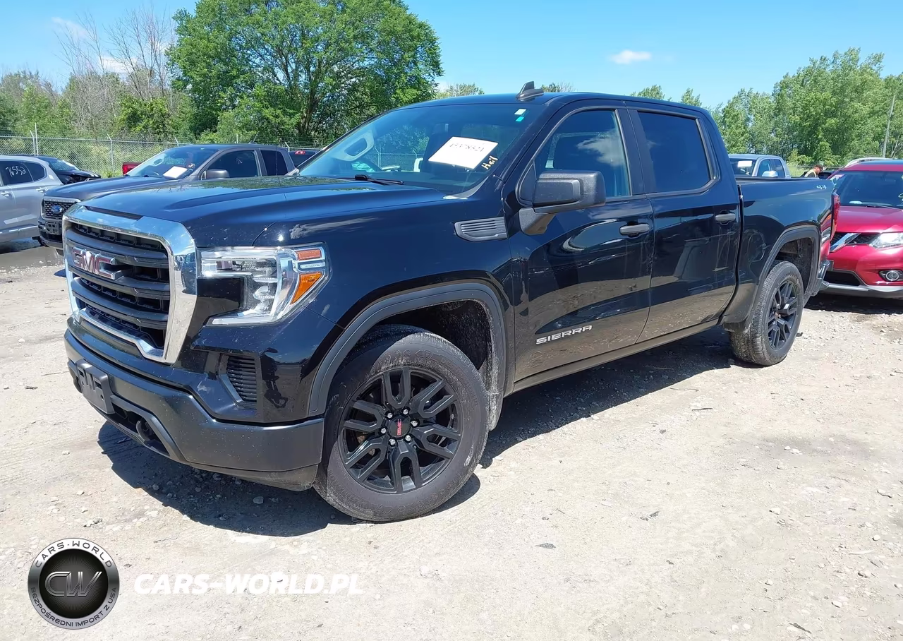 2020 GMC Sierra 1500 VIN:1GTP9AEK4LZ270174 - 2