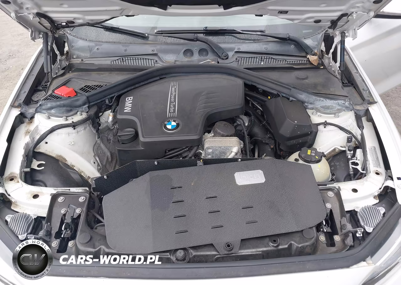 2016 BMW 228I VIN:WBA1F9C53GV546056 - 10