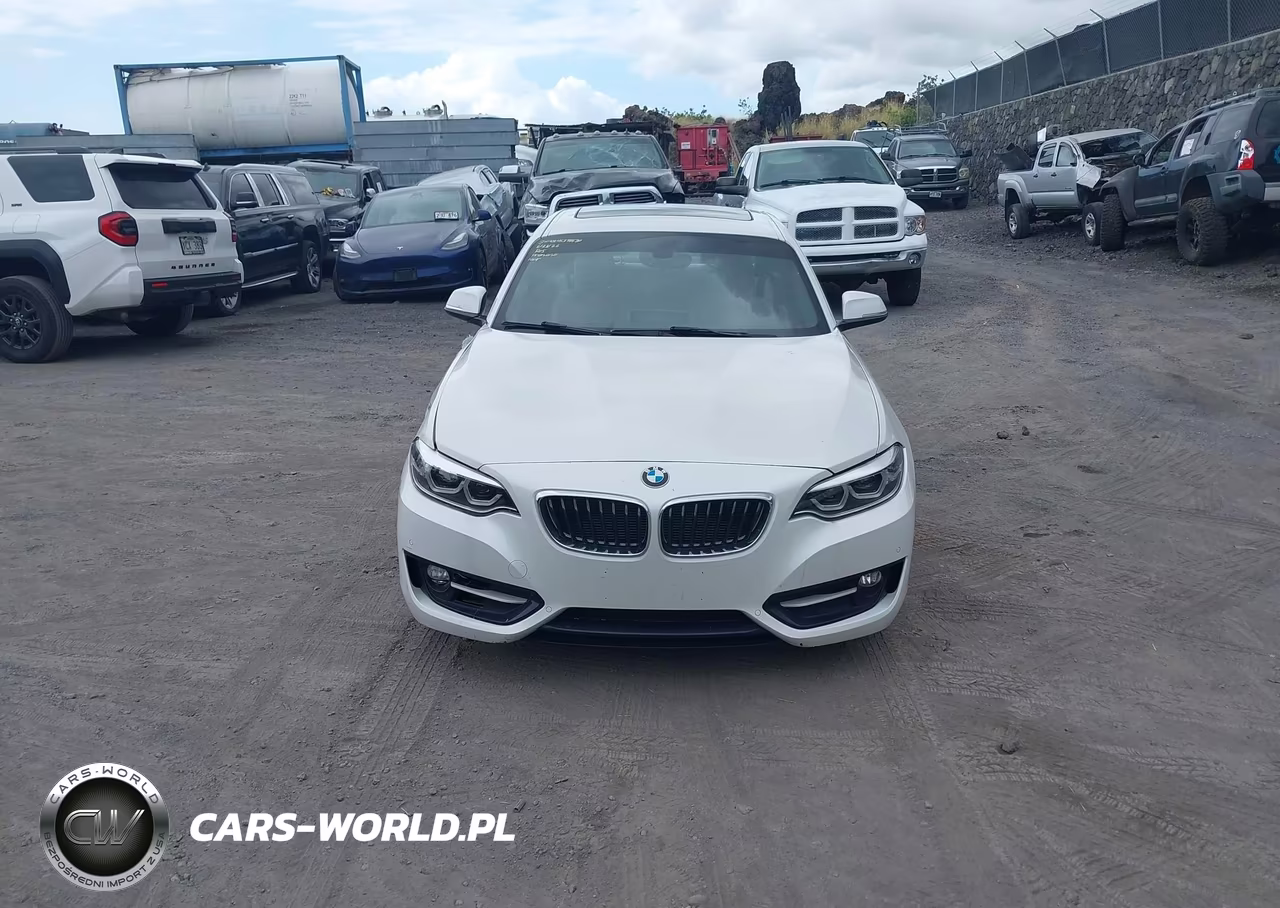 2016 BMW 228I VIN:WBA1F9C53GV546056 - 12