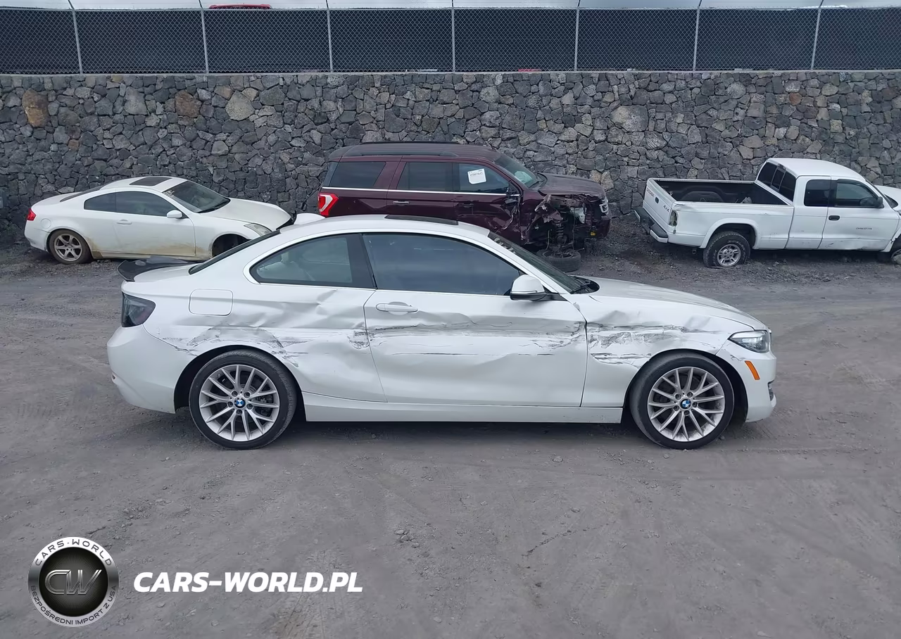 2016 BMW 228I VIN:WBA1F9C53GV546056 - 13