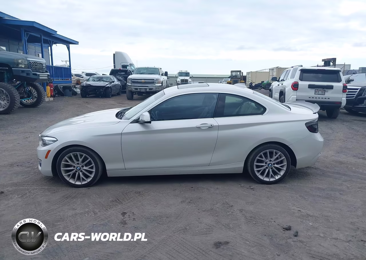 2016 BMW 228I VIN:WBA1F9C53GV546056 - 14