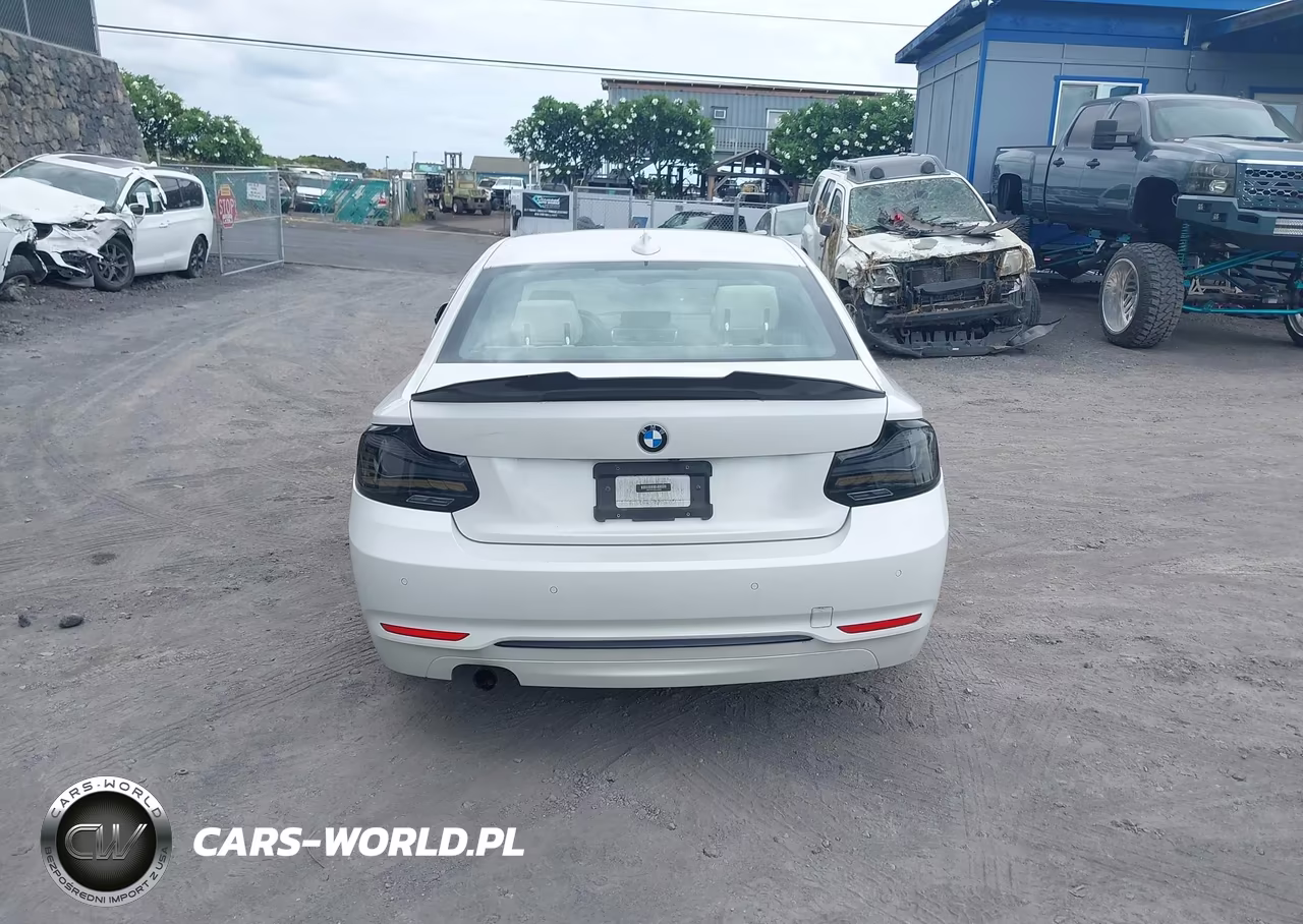 2016 BMW 228I VIN:WBA1F9C53GV546056 - 16