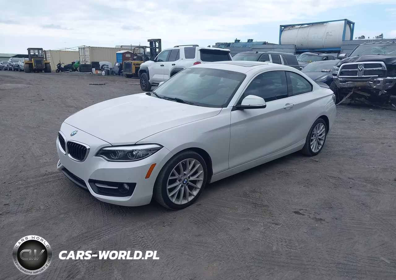 2016 BMW 228I VIN:WBA1F9C53GV546056 - 2
