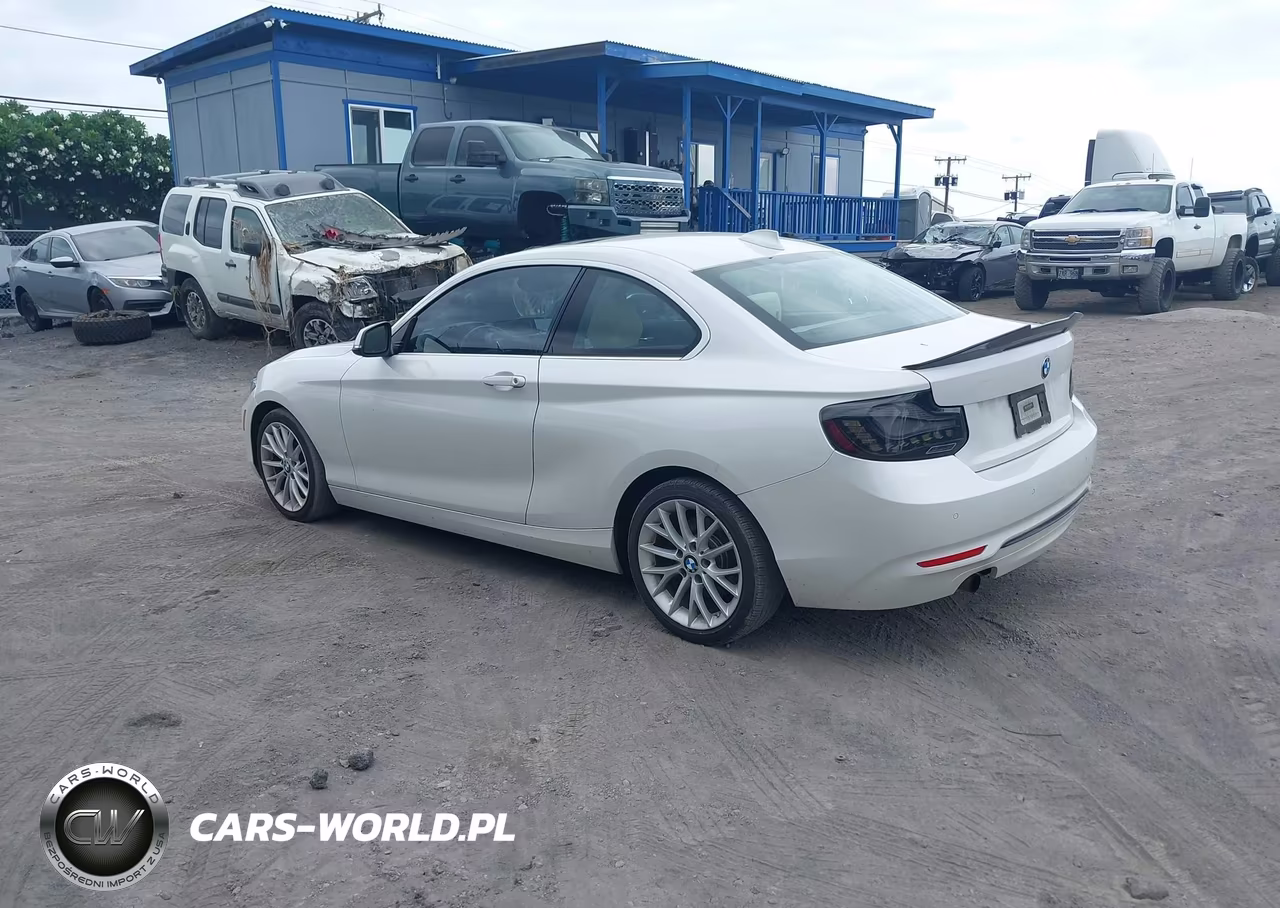 2016 BMW 228I VIN:WBA1F9C53GV546056 - 3