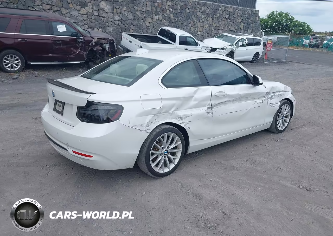 2016 BMW 228I VIN:WBA1F9C53GV546056 - 4