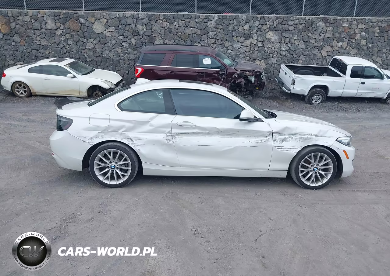 2016 BMW 228I VIN:WBA1F9C53GV546056 - 6