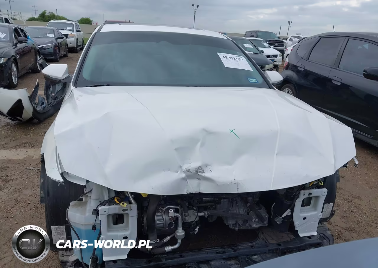 2024 Hyundai Elantra Limited VIN:KMHLP4DG5RU743004 - 13