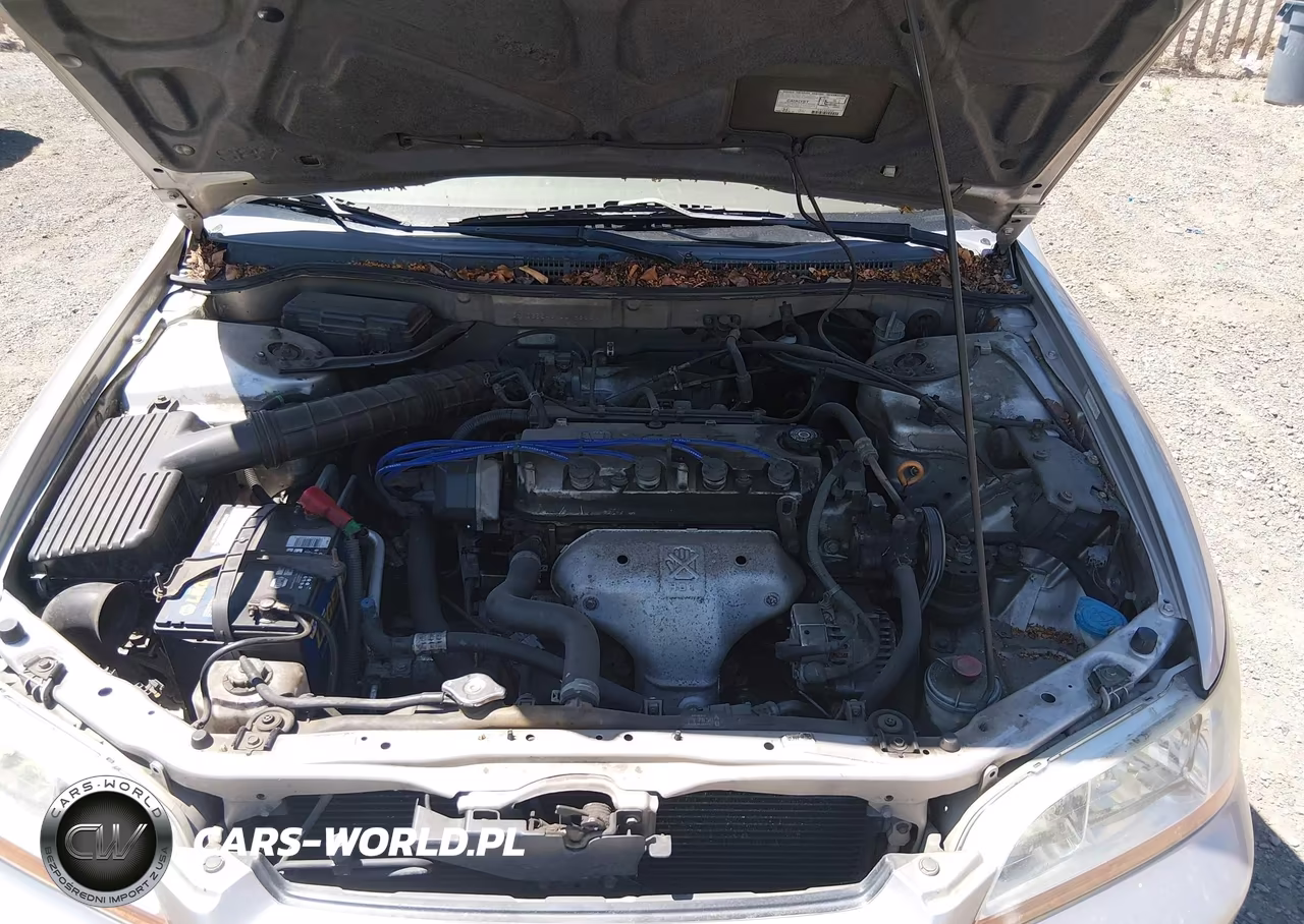 1999 Honda Accord Lx VIN:JHMCG5546XC018852 - 10