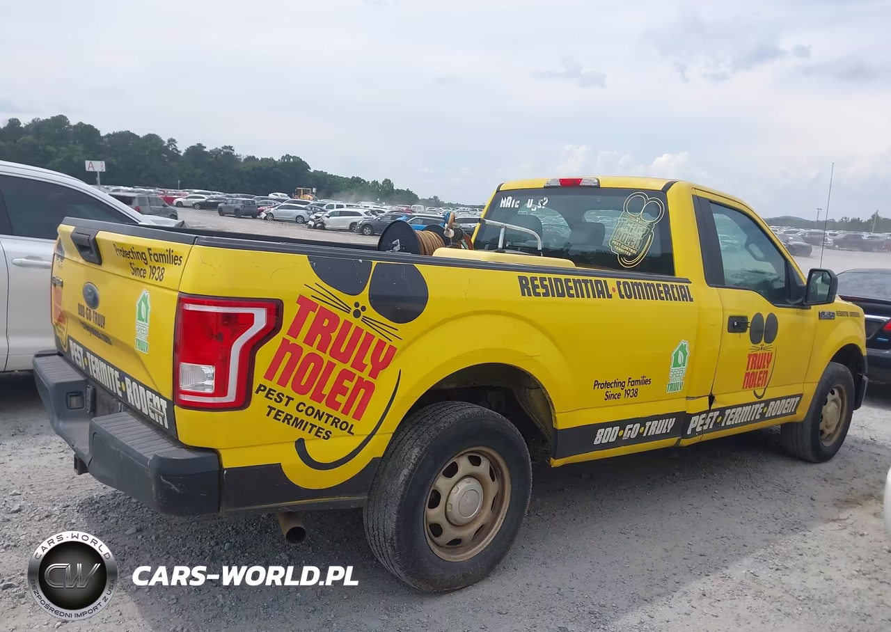 2015 Ford F-150 Xl VIN:1FTMF1C84FKD71098 - 13
