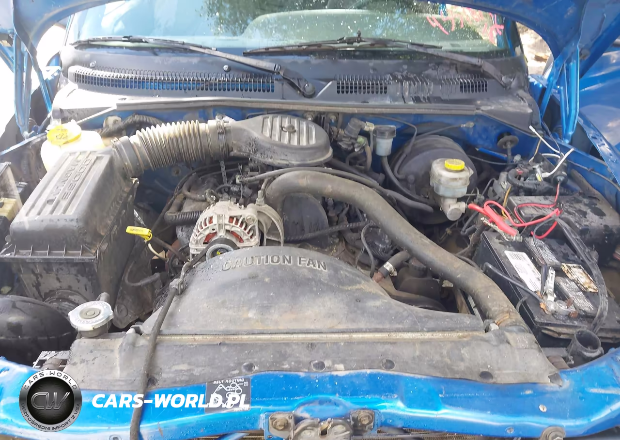 1999 Dodge Dakota Slt-Sport VIN:1B7FL26X9XS199288 - 10