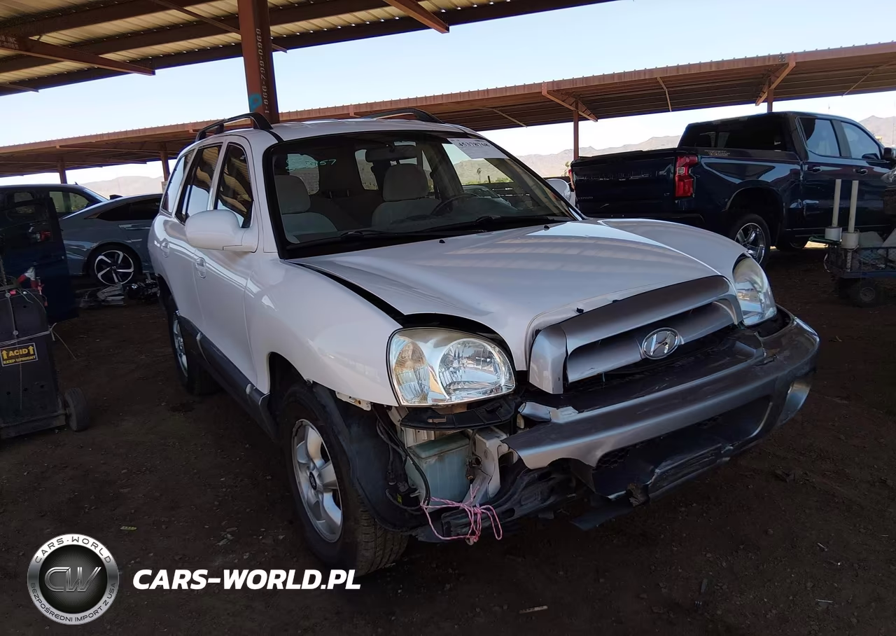 2005 Hyundai Santa Fe Gls-Lx