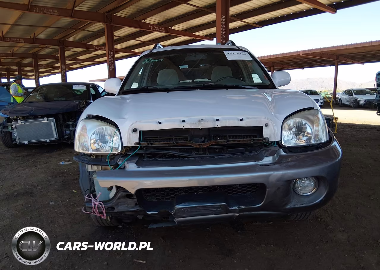 2005 Hyundai Santa Fe Gls-Lx VIN:KM8SC13E45U891094 - 13