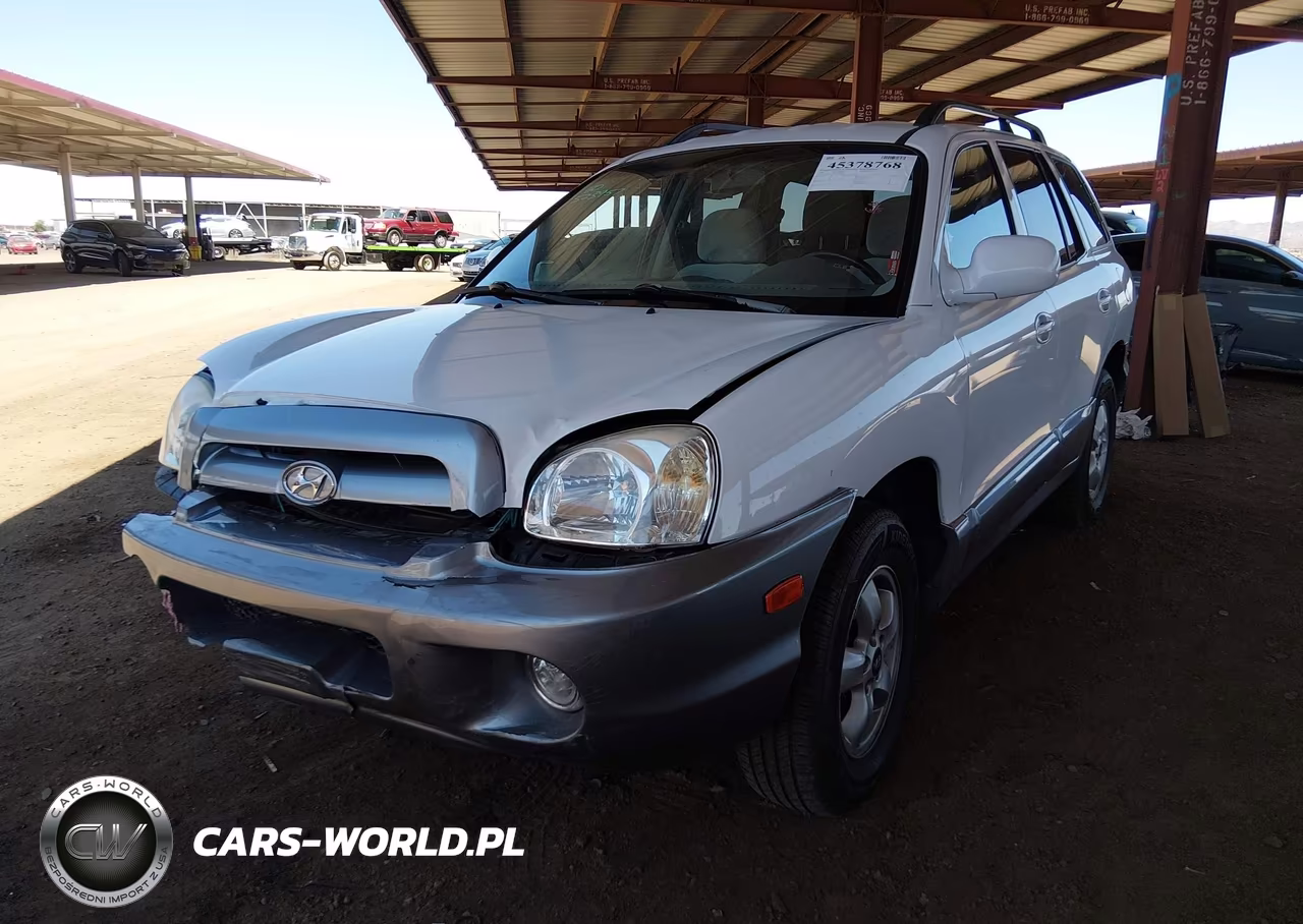 2005 Hyundai Santa Fe Gls-Lx VIN:KM8SC13E45U891094 - 2