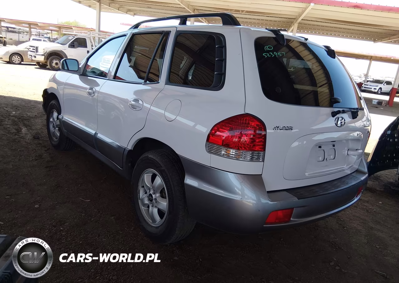 2005 Hyundai Santa Fe Gls-Lx VIN:KM8SC13E45U891094 - 3