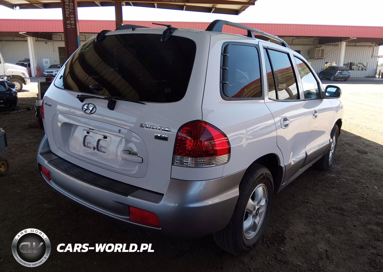 2005 Hyundai Santa Fe Gls-Lx VIN:KM8SC13E45U891094 - 4