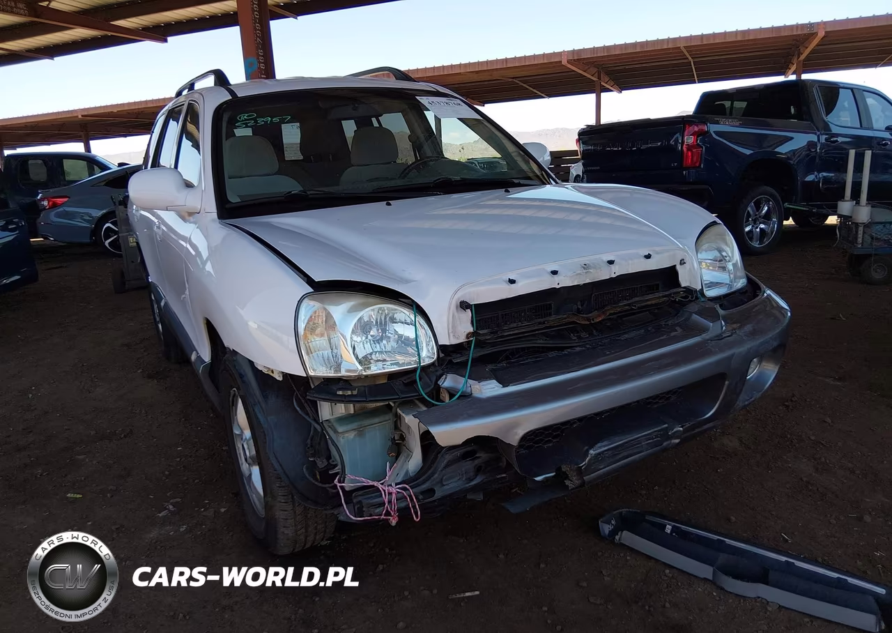 2005 Hyundai Santa Fe Gls-Lx VIN:KM8SC13E45U891094 - 6