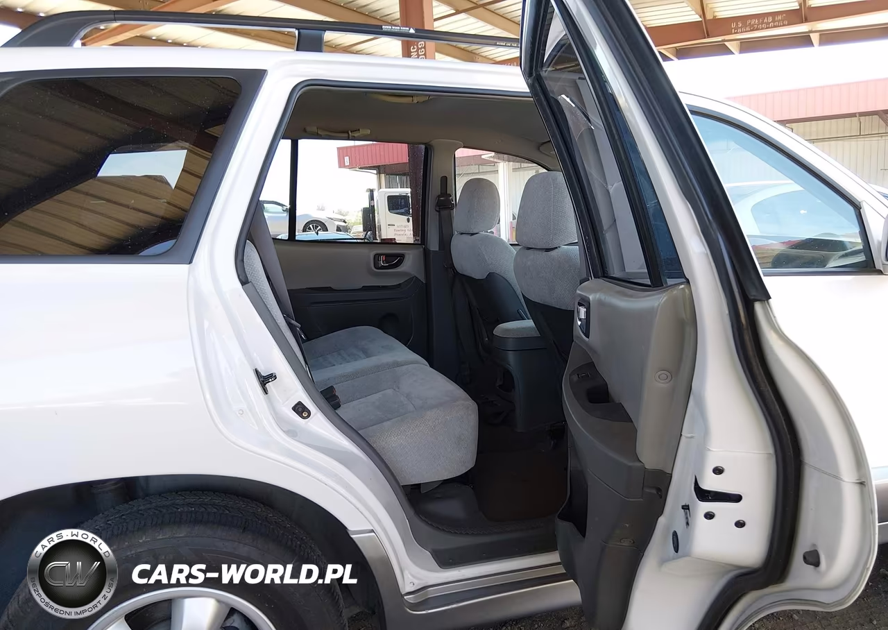 2005 Hyundai Santa Fe Gls-Lx VIN:KM8SC13E45U891094 - 8