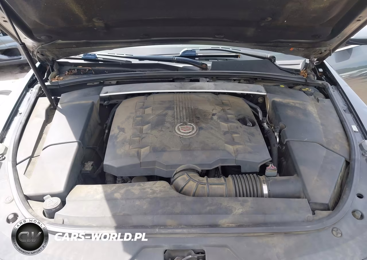 2011 Cadillac Cts Performance VIN:1G6DJ5EYXB0132523 - 10