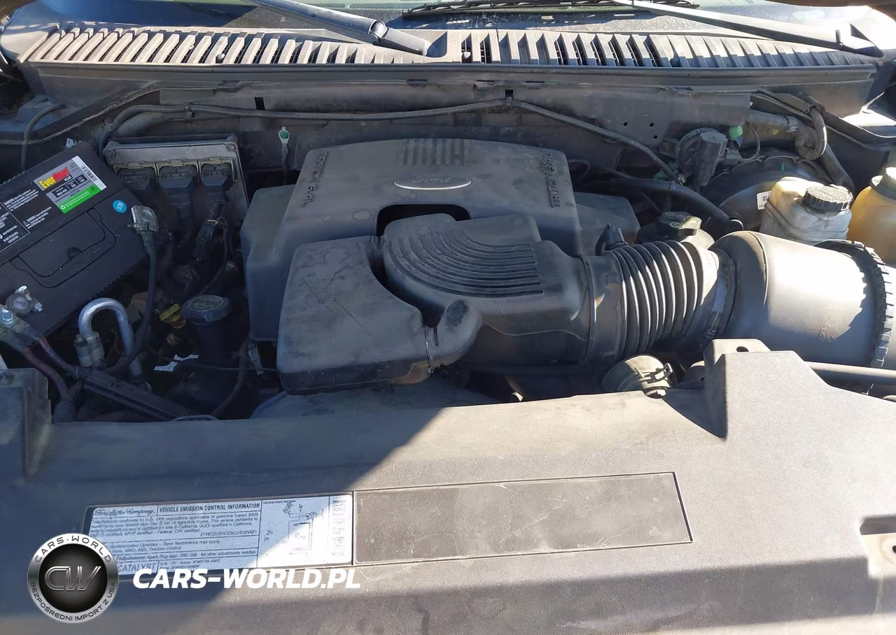2003 Ford Expedition Eddie Bauer VIN:1FMFU17L13LB82519 - 10