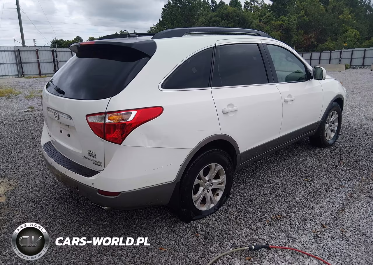 2010 Hyundai Veracruz Gls VIN:KM8NUDCC7AU128488 - 4