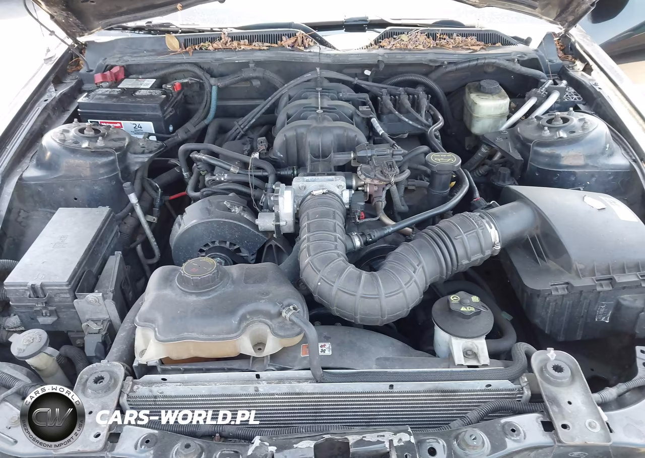 2005 Ford Mustang V6 Deluxe-V6 Premium VIN:1ZVFT80N955110399 - 10