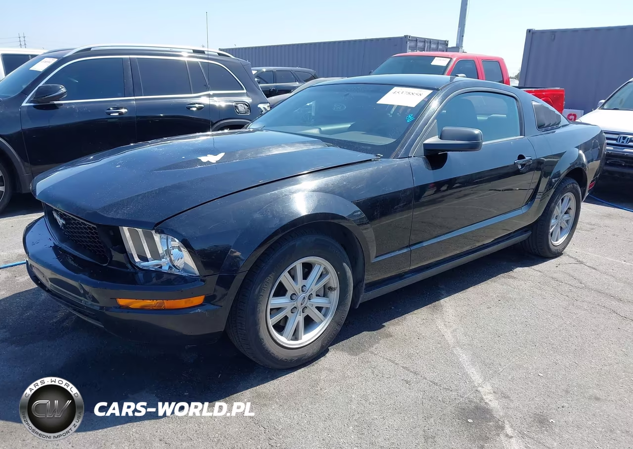 2005 Ford Mustang V6 Deluxe-V6 Premium VIN:1ZVFT80N955110399 - 2