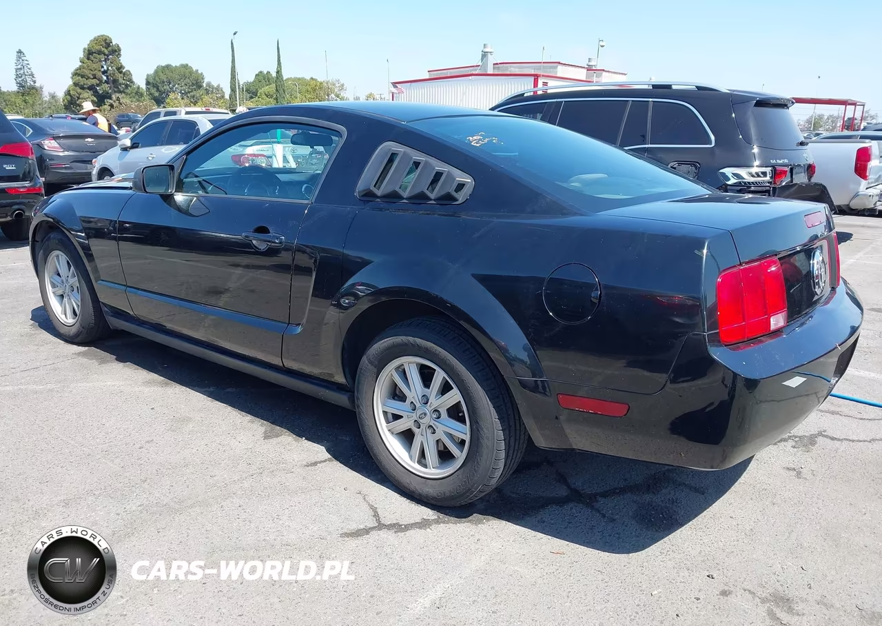2005 Ford Mustang V6 Deluxe-V6 Premium VIN:1ZVFT80N955110399 - 3