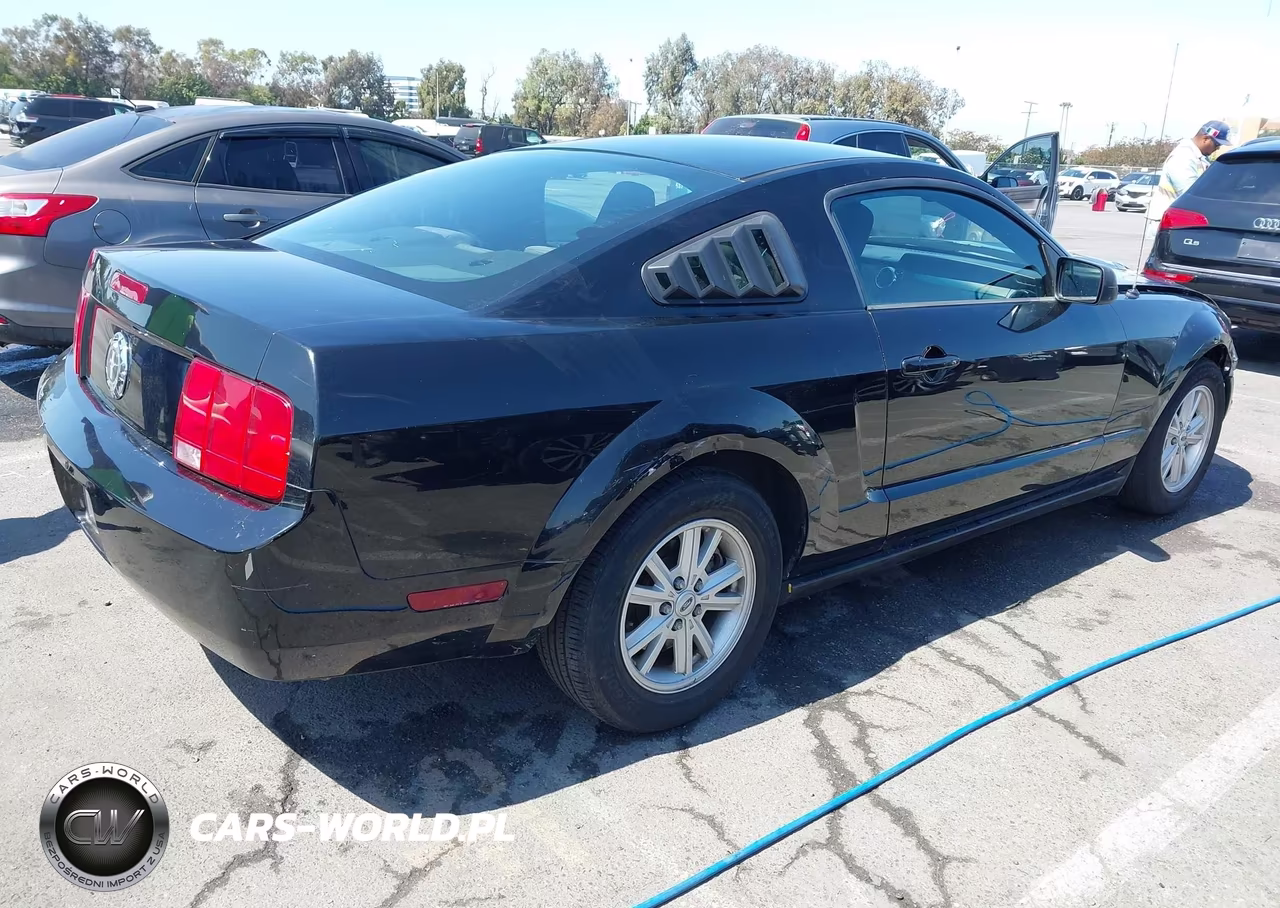 2005 Ford Mustang V6 Deluxe-V6 Premium VIN:1ZVFT80N955110399 - 4