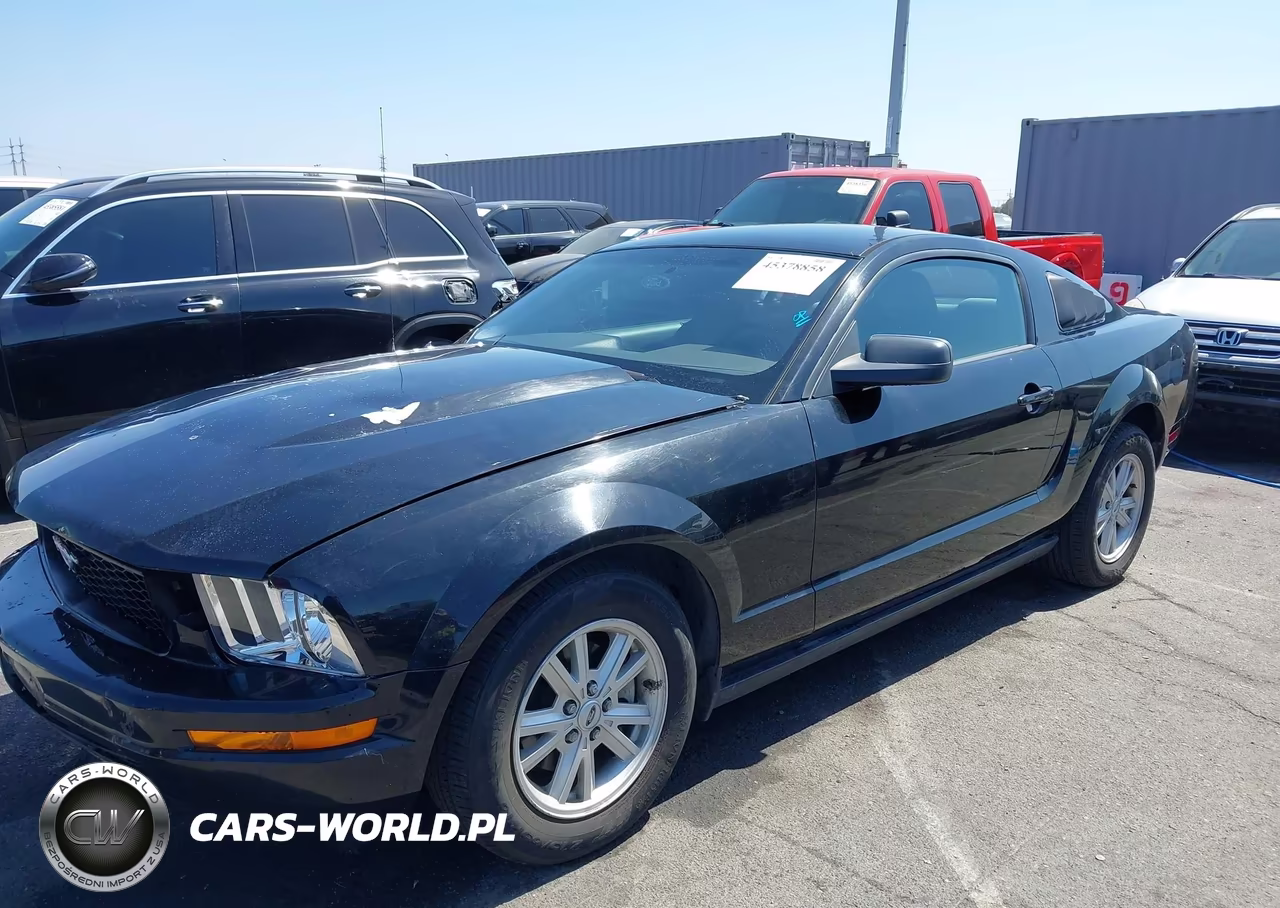 2005 Ford Mustang V6 Deluxe-V6 Premium VIN:1ZVFT80N955110399 - 6