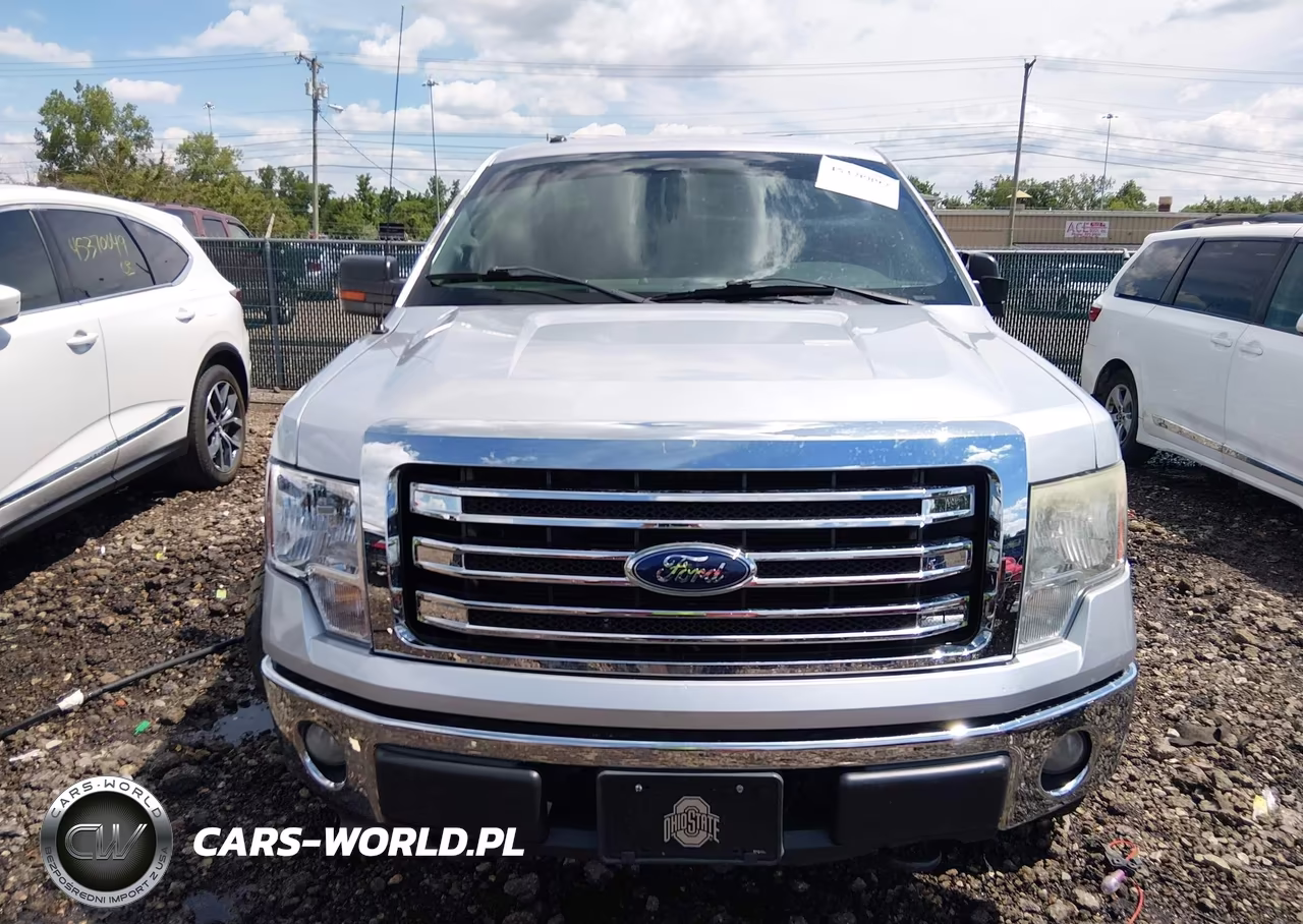 2014 Ford F-150 Xlt VIN:1FTFX1EF7EFA20615 - 12
