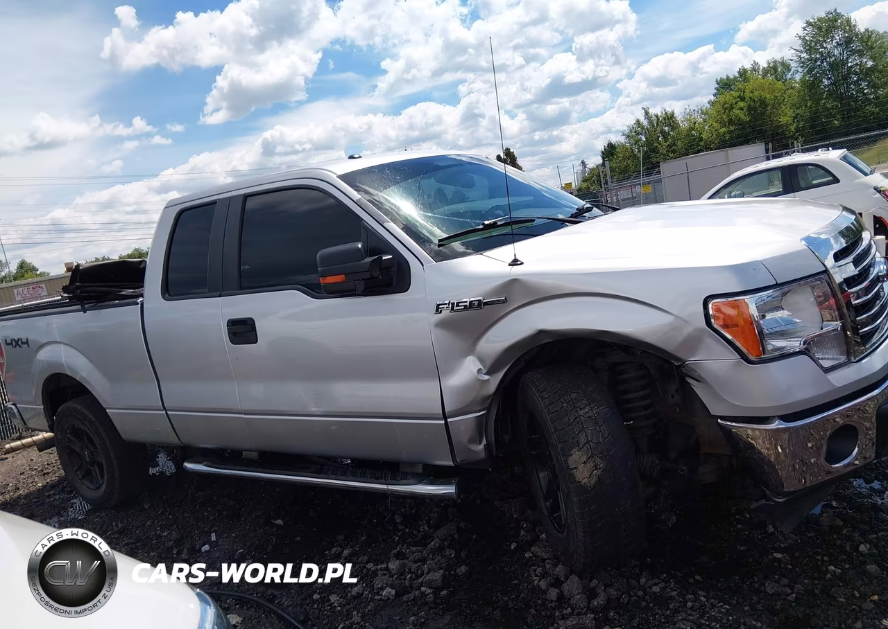 2014 Ford F-150 Xlt VIN:1FTFX1EF7EFA20615 - 13