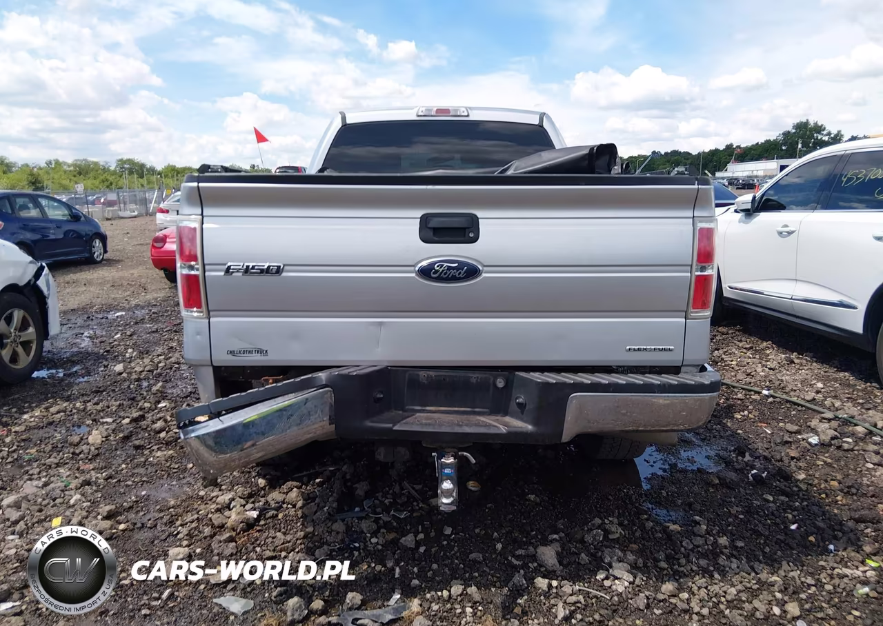 2014 Ford F-150 Xlt VIN:1FTFX1EF7EFA20615 - 16