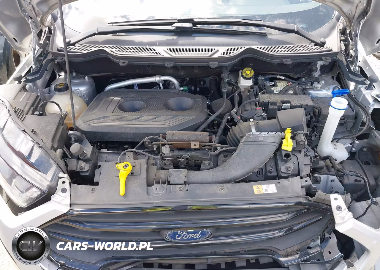 2020 Ford Ecosport Ses VIN:MAJ6S3JL3LC353758 - 10