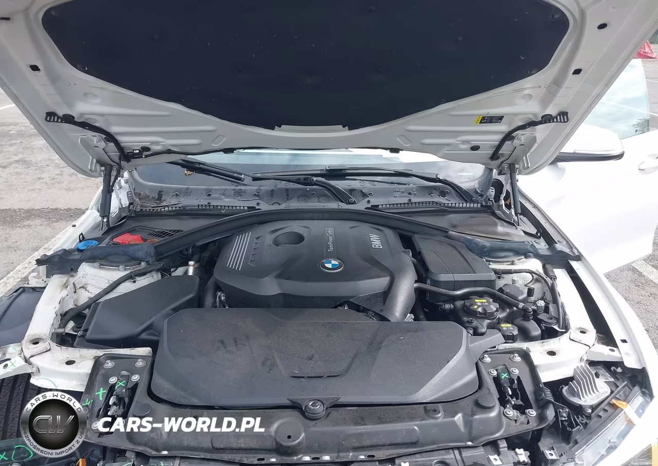 2019 BMW 430I Gran Coupe xDrive VIN:WBA4J3C5XKBL09602 - 10