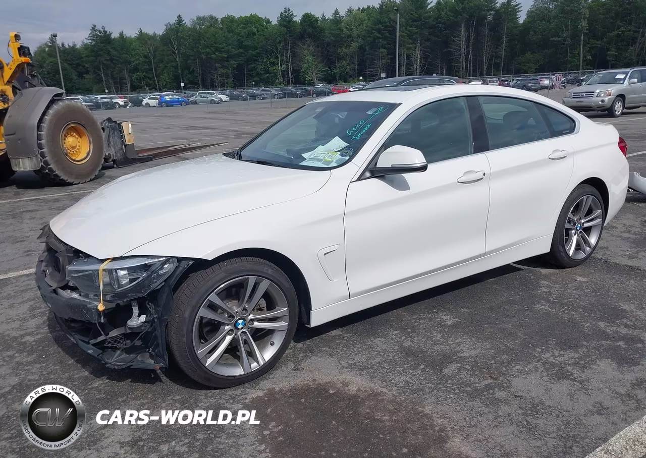 2019 BMW 430I Gran Coupe xDrive VIN:WBA4J3C5XKBL09602 - 2