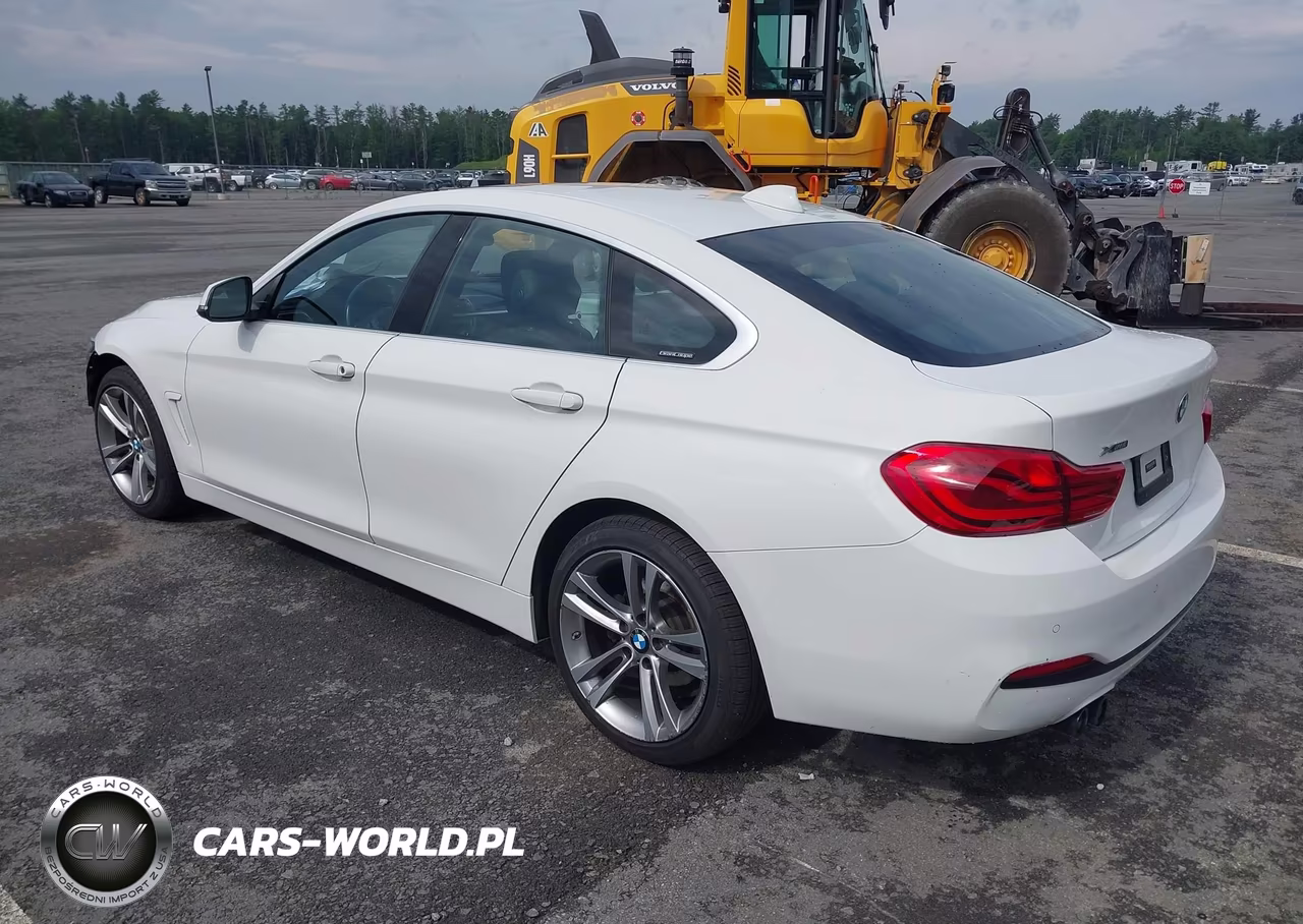 2019 BMW 430I Gran Coupe xDrive VIN:WBA4J3C5XKBL09602 - 3