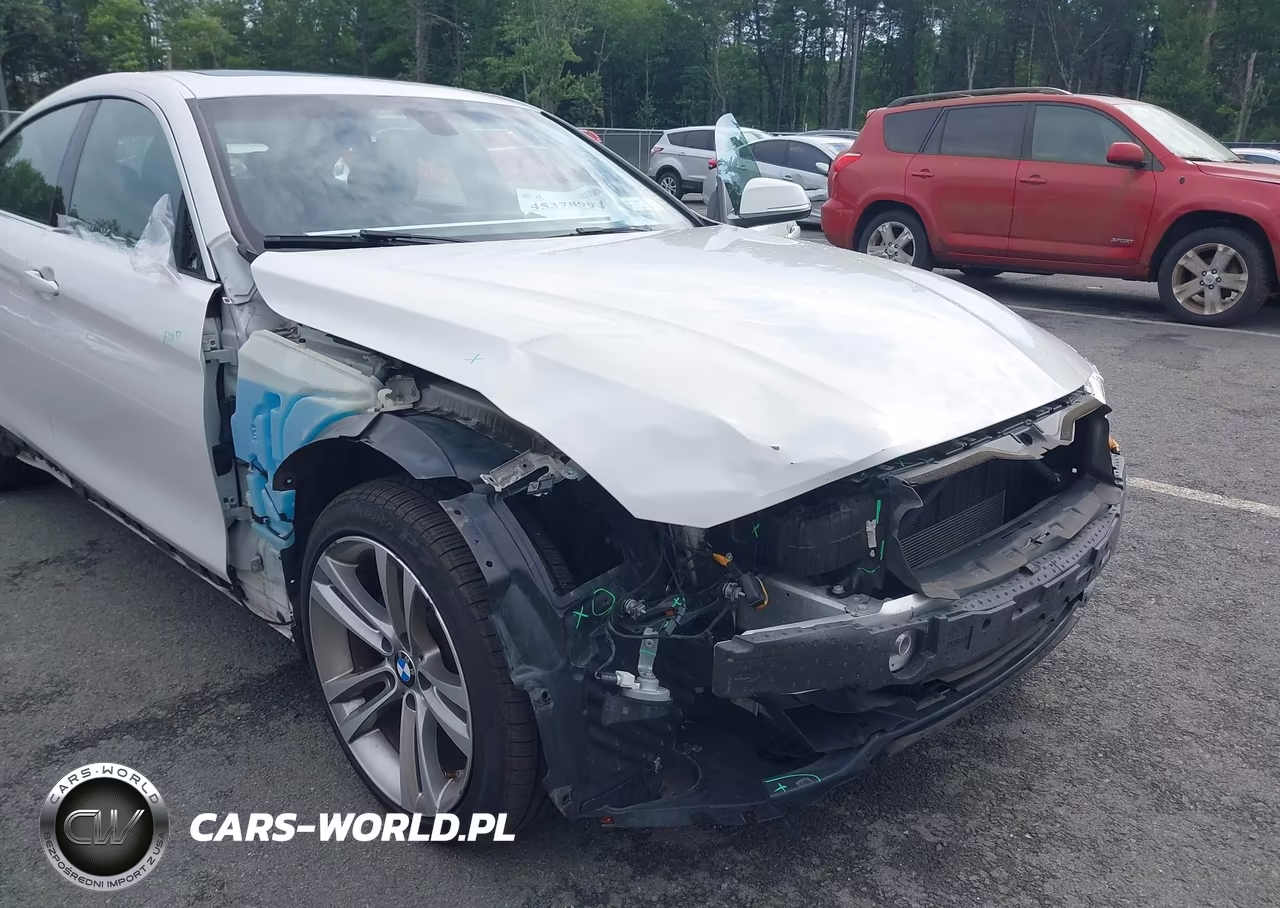 2019 BMW 430I Gran Coupe xDrive VIN:WBA4J3C5XKBL09602 - 6