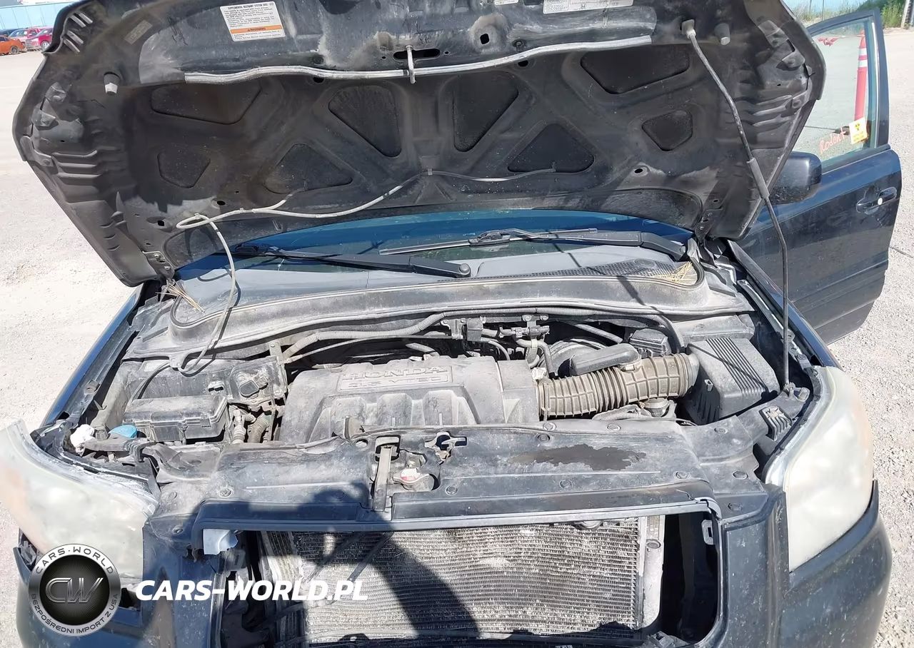 2007 Honda Pilot Ex-L VIN:5FNYF18677B022234 - 10