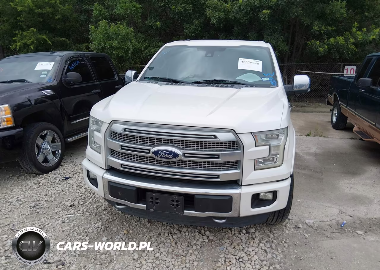 2015 Ford F-150 Platinum VIN:1FTEW1EG6FFB06328 - 12