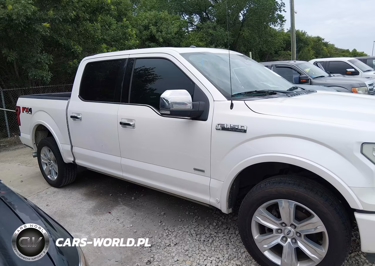 2015 Ford F-150 Platinum VIN:1FTEW1EG6FFB06328 - 13