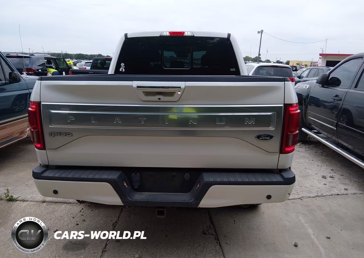2015 Ford F-150 Platinum VIN:1FTEW1EG6FFB06328 - 16