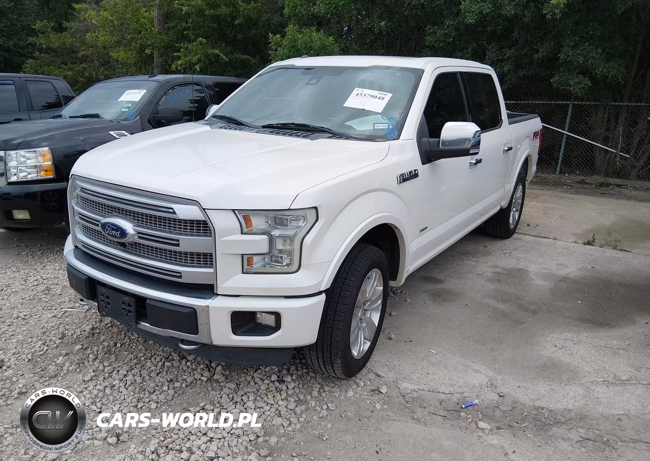 2015 Ford F-150 Platinum VIN:1FTEW1EG6FFB06328 - 2