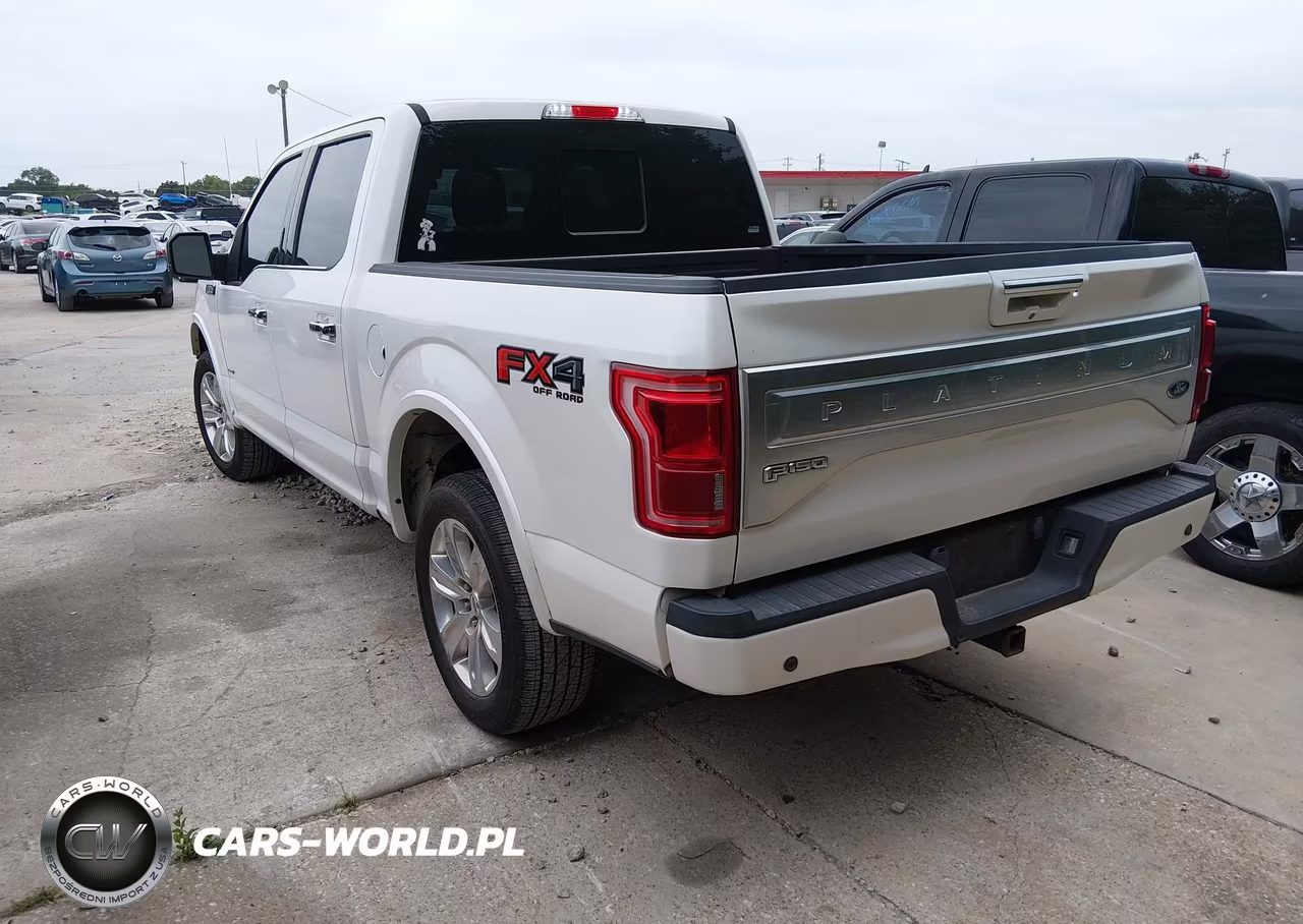 2015 Ford F-150 Platinum VIN:1FTEW1EG6FFB06328 - 3