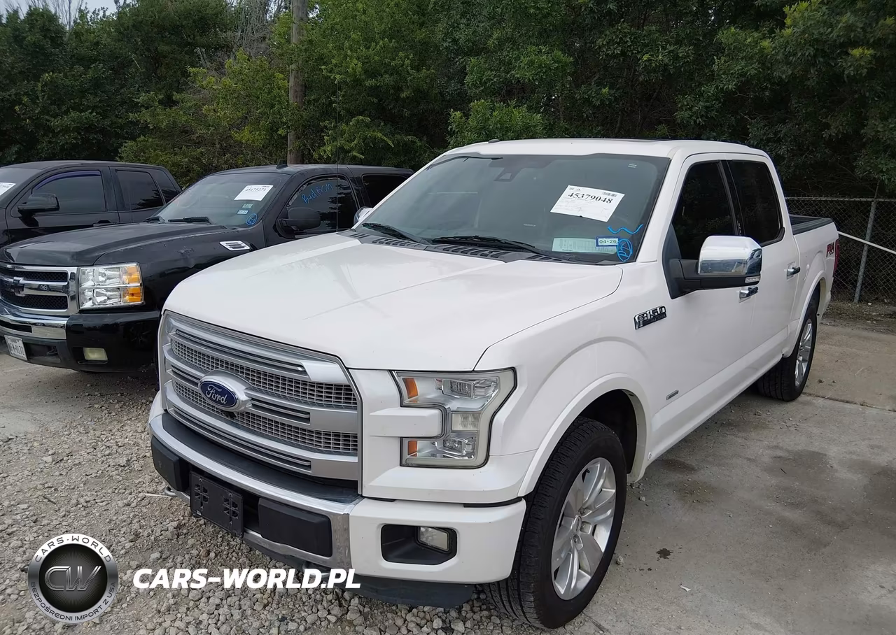 2015 Ford F-150 Platinum VIN:1FTEW1EG6FFB06328 - 6