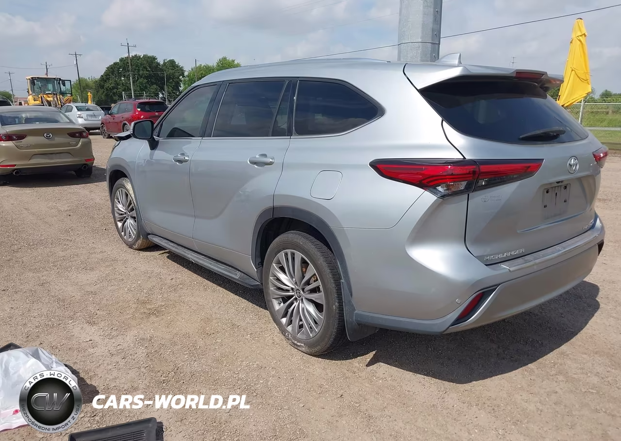 2020 Toyota Highlander Platinum VIN:5TDFZRAH9LS015607 - 3