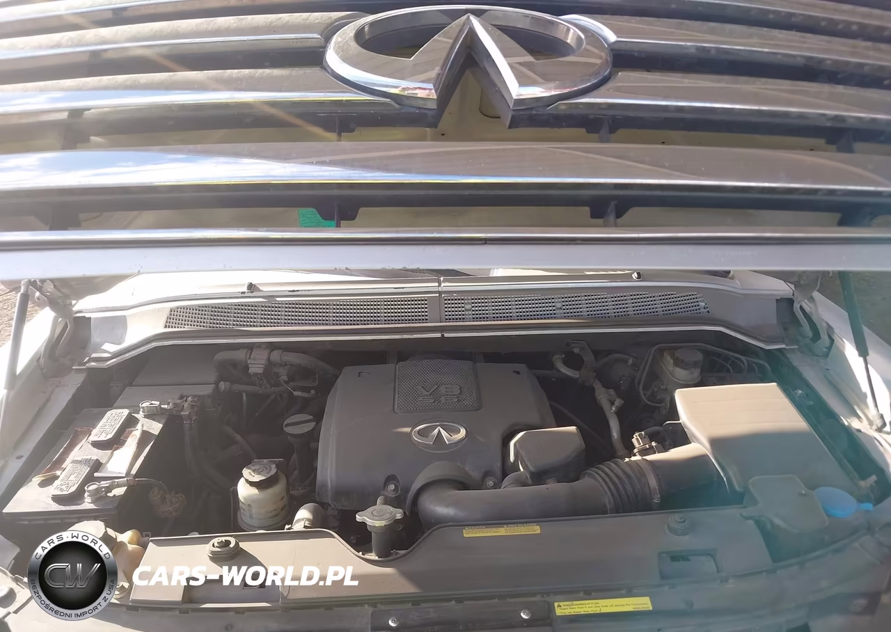 2007 Infiniti Qx56 VIN:5N3AA08A67N800462 - 10