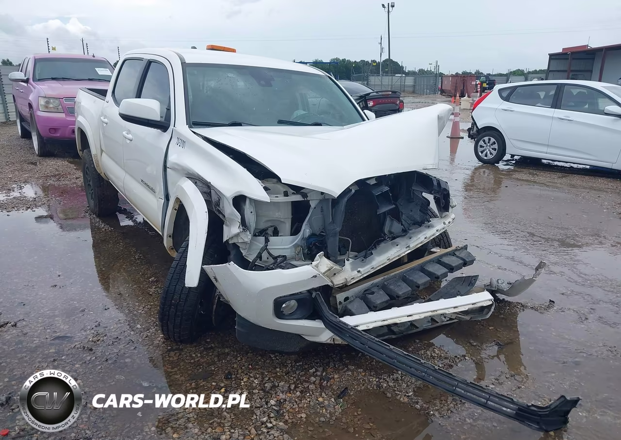 2021 Toyota Tacoma Sr5 V6 VIN:3TMCZ5AN6MM377199 - 17