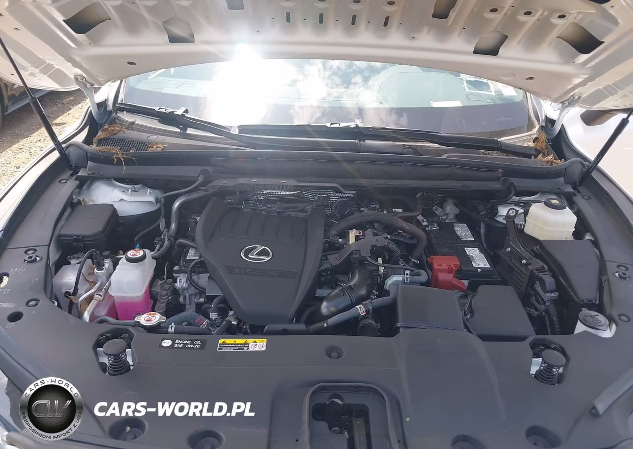2025 Lexus Rx 350 Premium VIN:2T2BAMCAXSC107062 - 10