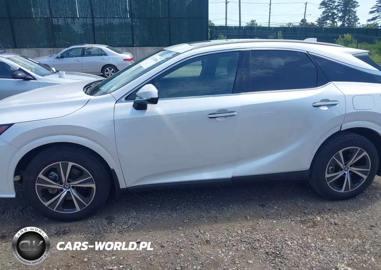 2025 Lexus Rx 350 Premium VIN:2T2BAMCAXSC107062 - 14