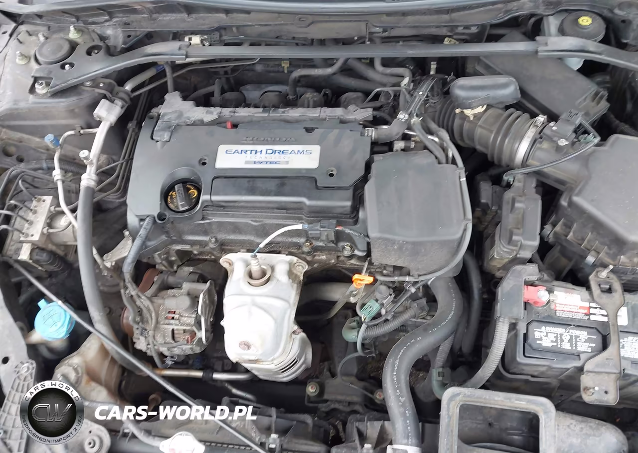 2014 Honda Accord Ex-L VIN:1HGCR2F8XEA186466 - 10